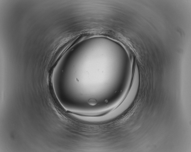 X0000112110205200908041548