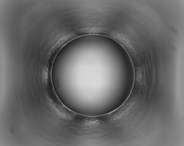 X0000112110206200908041548