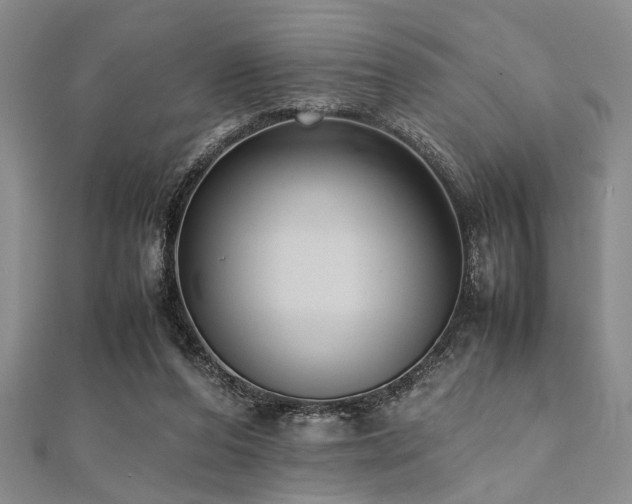 X0000112110208200908041548