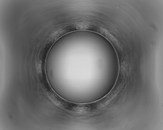 X0000112110209200908041548