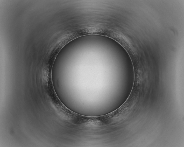 X0000112110210200908041548