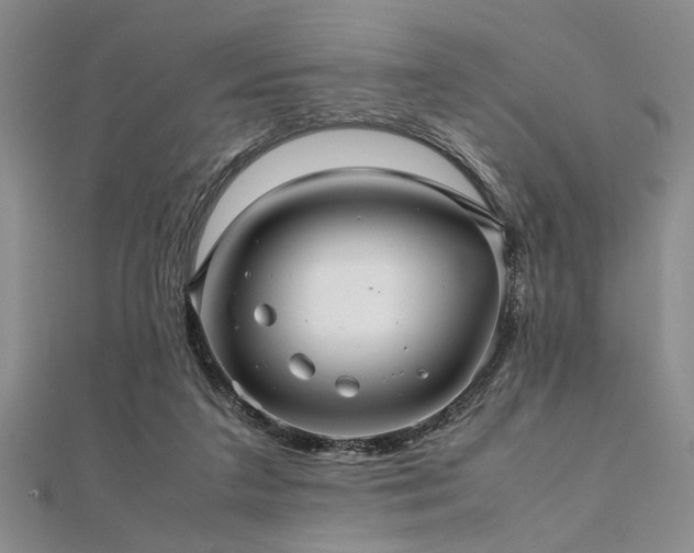 X0000112110211200908041548