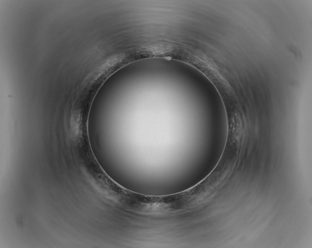 X0000112110212200908041548