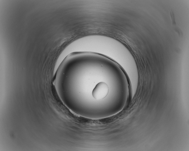 X0000112110215200908041548