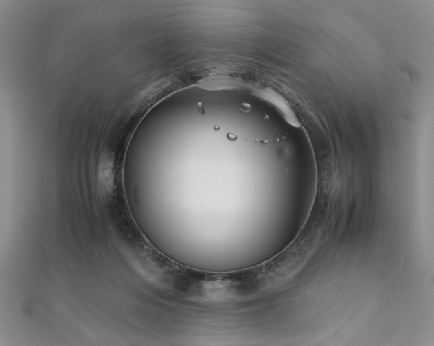 X0000112110216200908041548