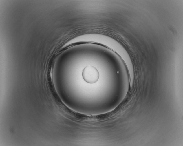 X0000112110217200908041548