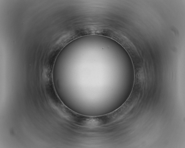 X0000112110218200908041548