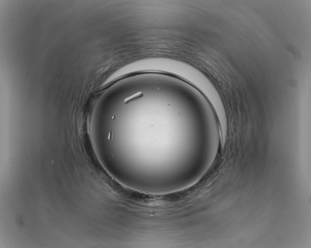 X0000112110219200908041548