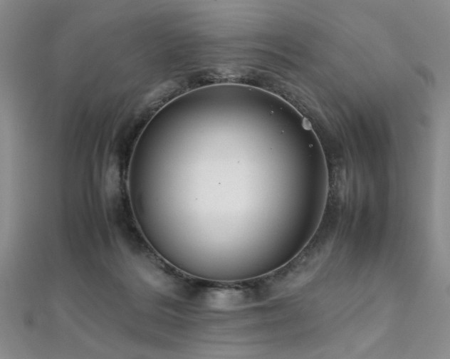 X0000112110220200908041548