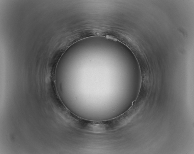 X0000112110221200908041548