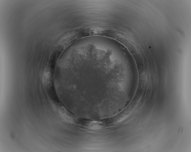 X0000112110222200908041548