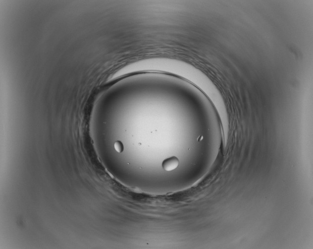 X0000112110223200908041548