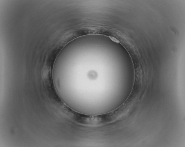 X0000112110225200908041548