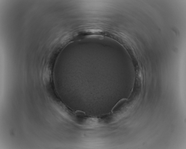 X0000112110227200908041548