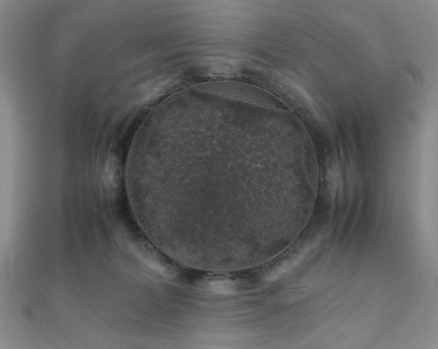 X0000112110228200908041548