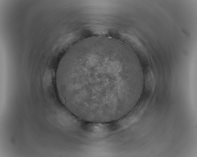 X0000112110229200908041548