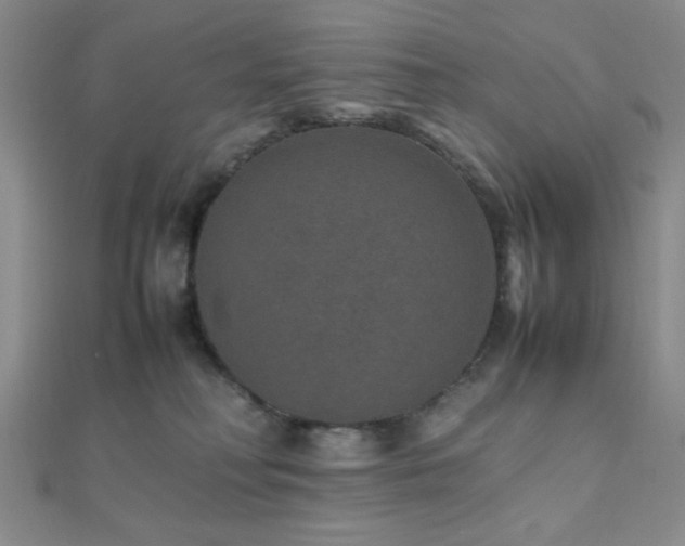 X0000112110230200908041548