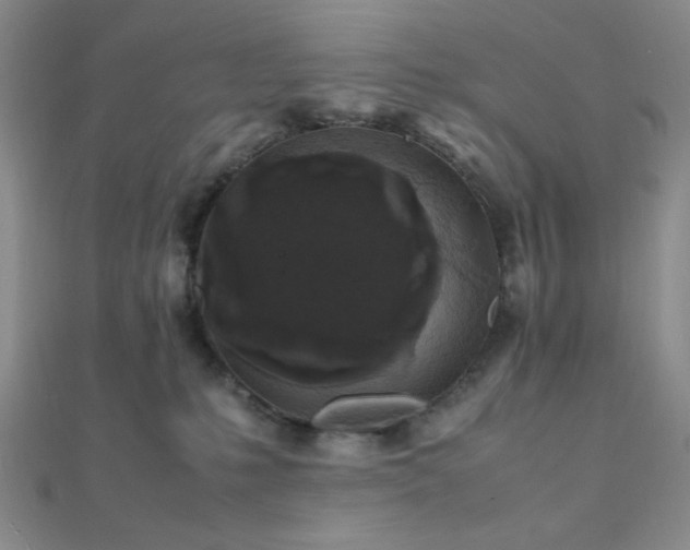 X0000112110231200908041548