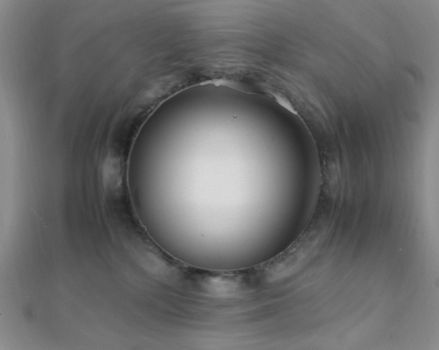 X0000112110232200908041548