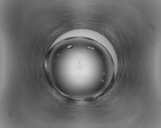 X0000112110233200908041547