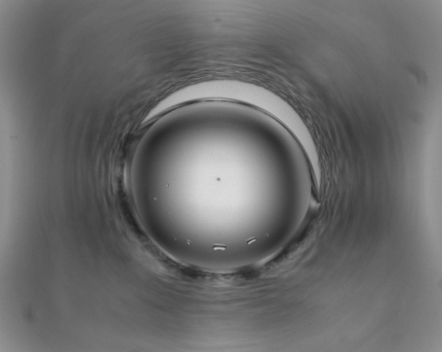 X0000112110235200908041547