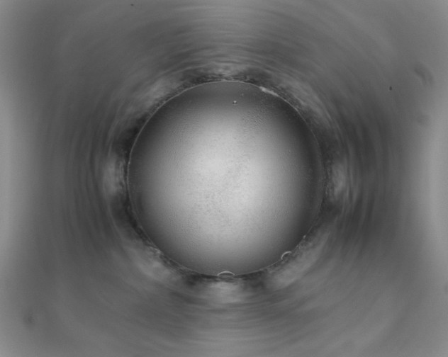 X0000112110236200908041547