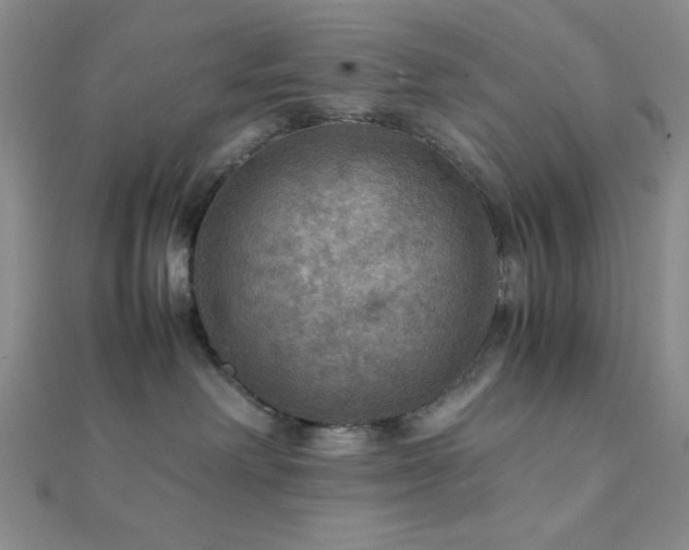 X0000112110238200908041547