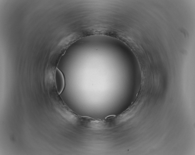 X0000112110240200908041547