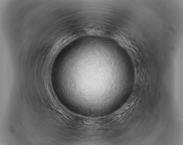 X0000112110241200908041547