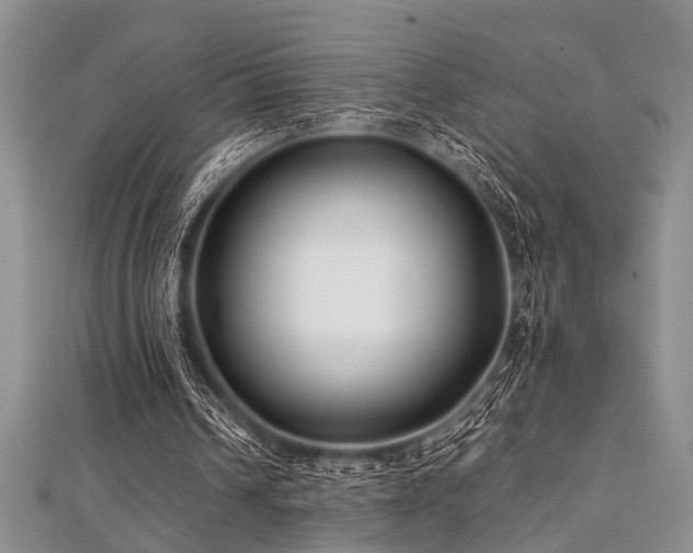 X0000112110242200908041547