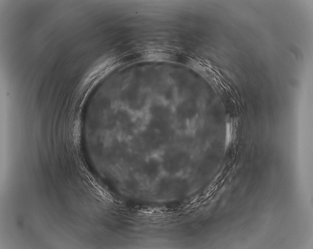 X0000112110243200908041547