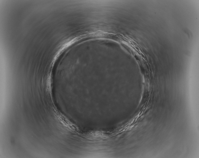 X0000112110244200908041547