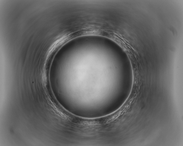 X0000112110245200908041547