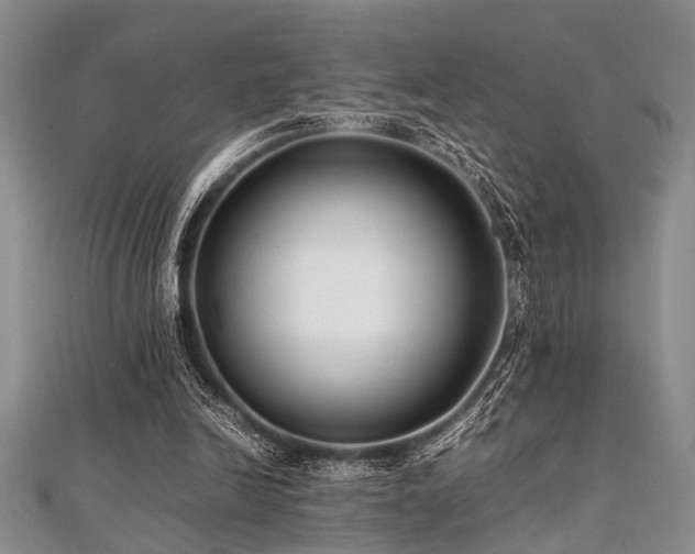 X0000112110246200908041547