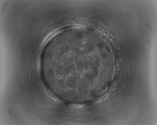 X0000112110247200908041547