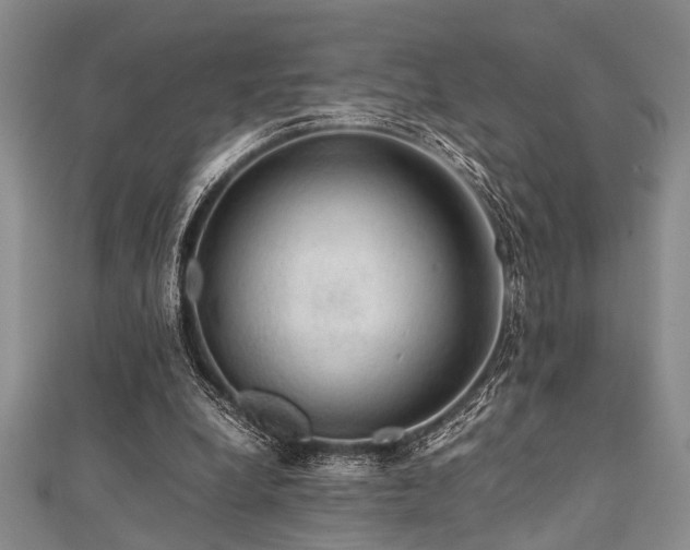 X0000112110248200908041547