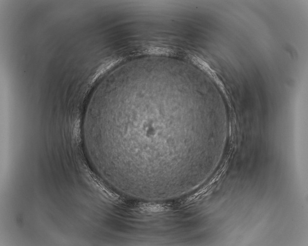 X0000112110249200908041547