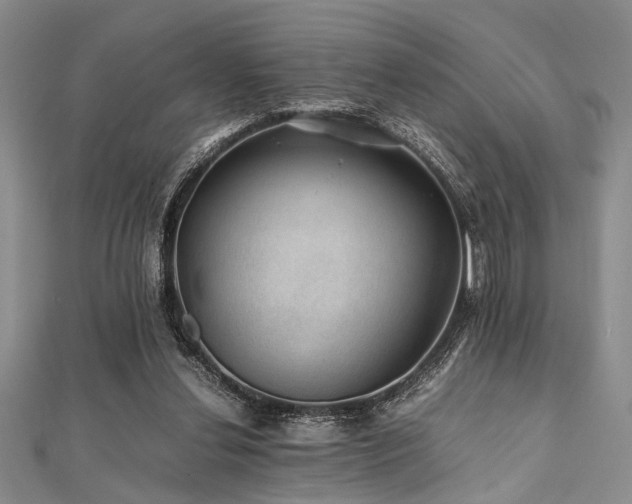 X0000112110252200908041547