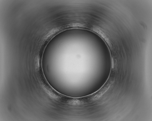 X0000112110253200908041547