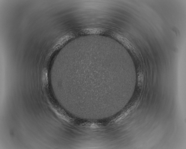 X0000112110254200908041547