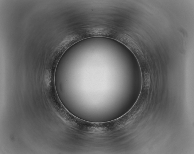 X0000112110255200908041547