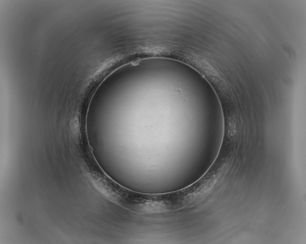 X0000112110256200908041547