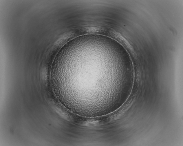 X0000112110257200908041547