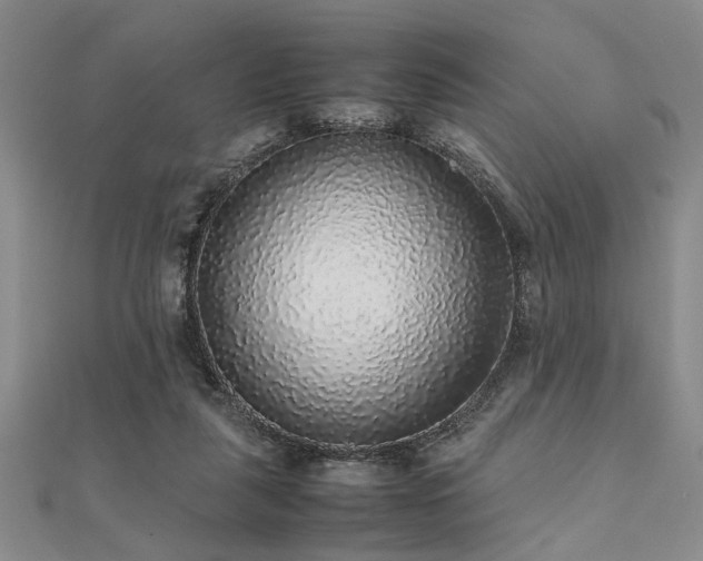 X0000112110259200908041547