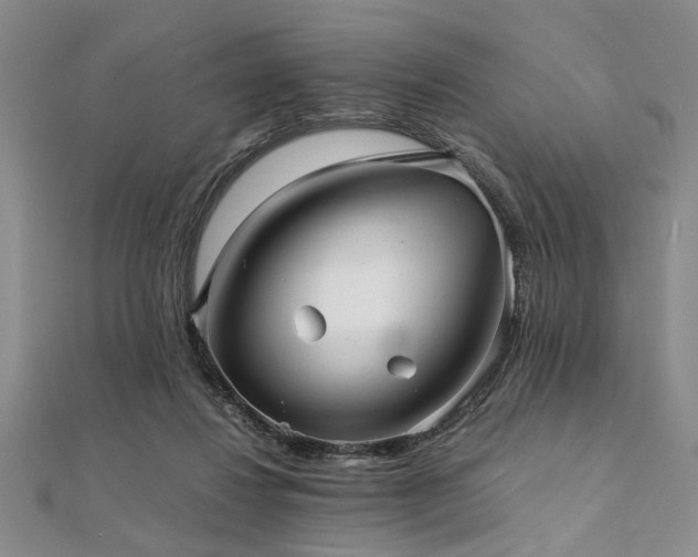 X0000112110260200908041547