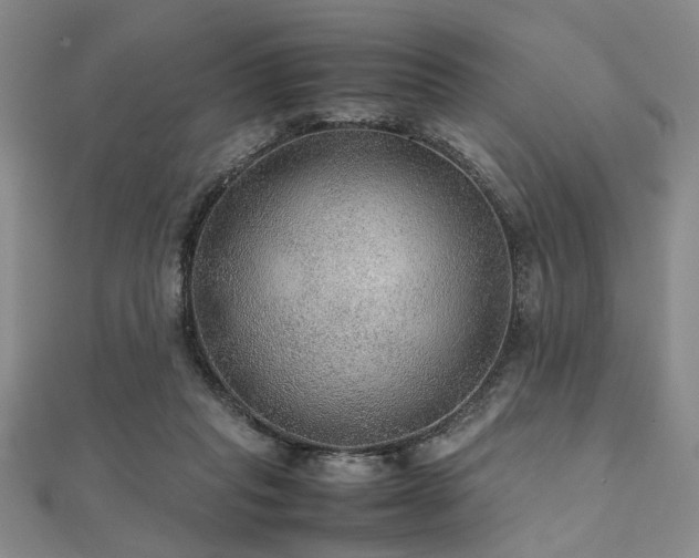 X0000112110261200908041547