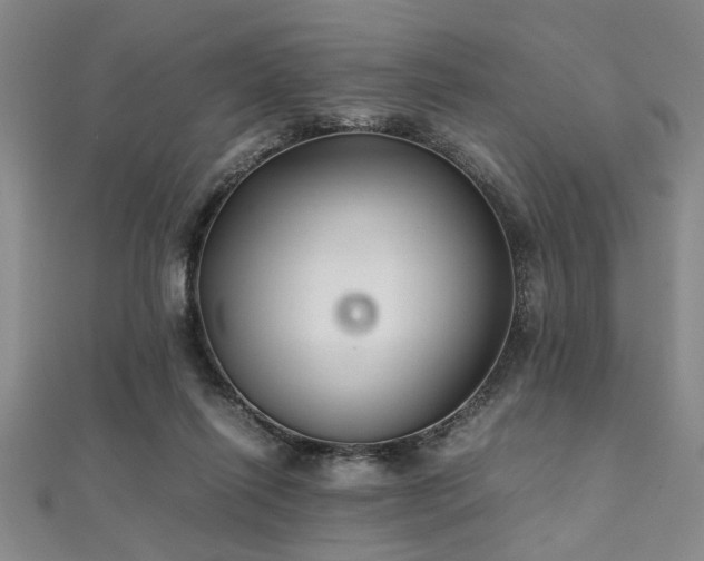 X0000112110262200908041547