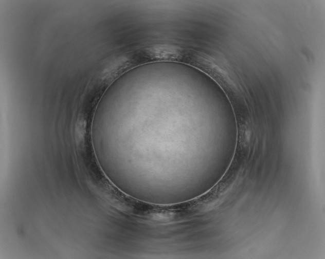 X0000112110263200908041547