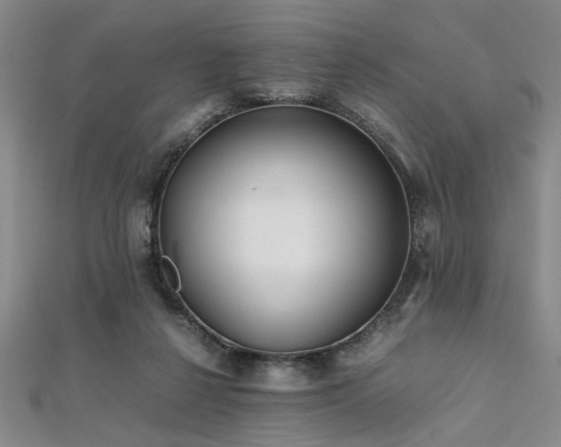 X0000112110264200908041547