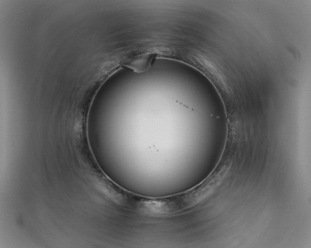 X0000112110265200908041547